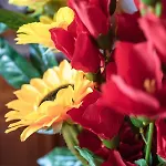 La Veranda Di Tatta 3*