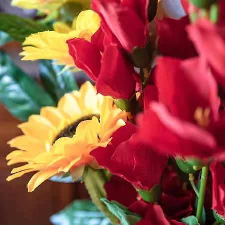 La Veranda Di Tatta 3*