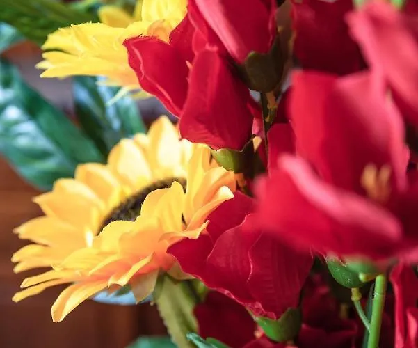 La Veranda Di Tatta 3*